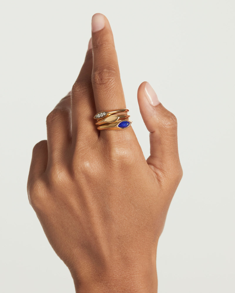 Anello Sigillo Duke - 
  
    Argento sterling / Placcatura in Oro 18K
  
