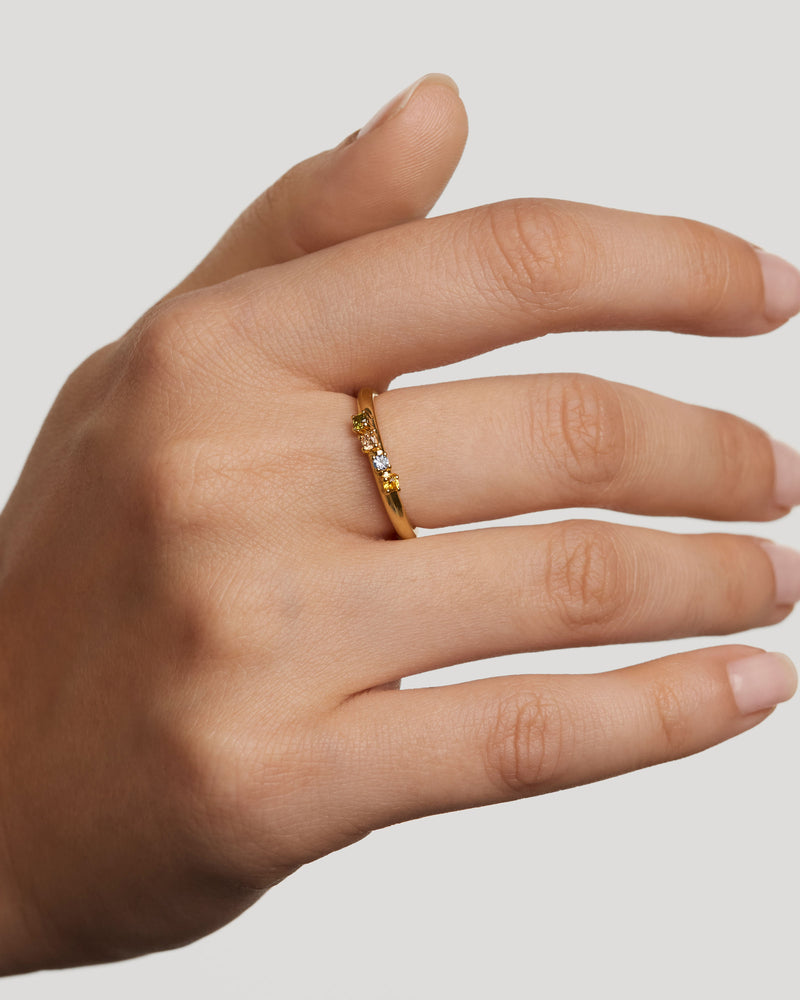 Anillo Rainbow Wing - 
  
    Plata de Ley / Baño de Oro 18K
  
