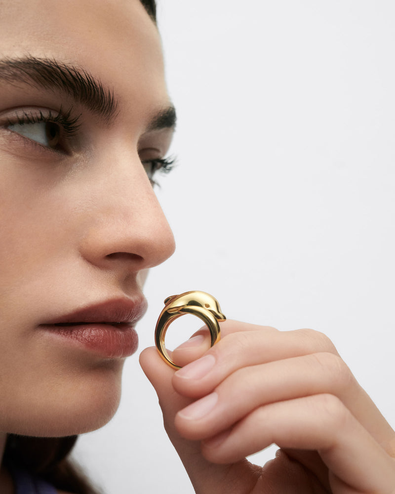 Anillo Dolphin - 
  
    Plata de Ley / Baño de Oro 18K
  
