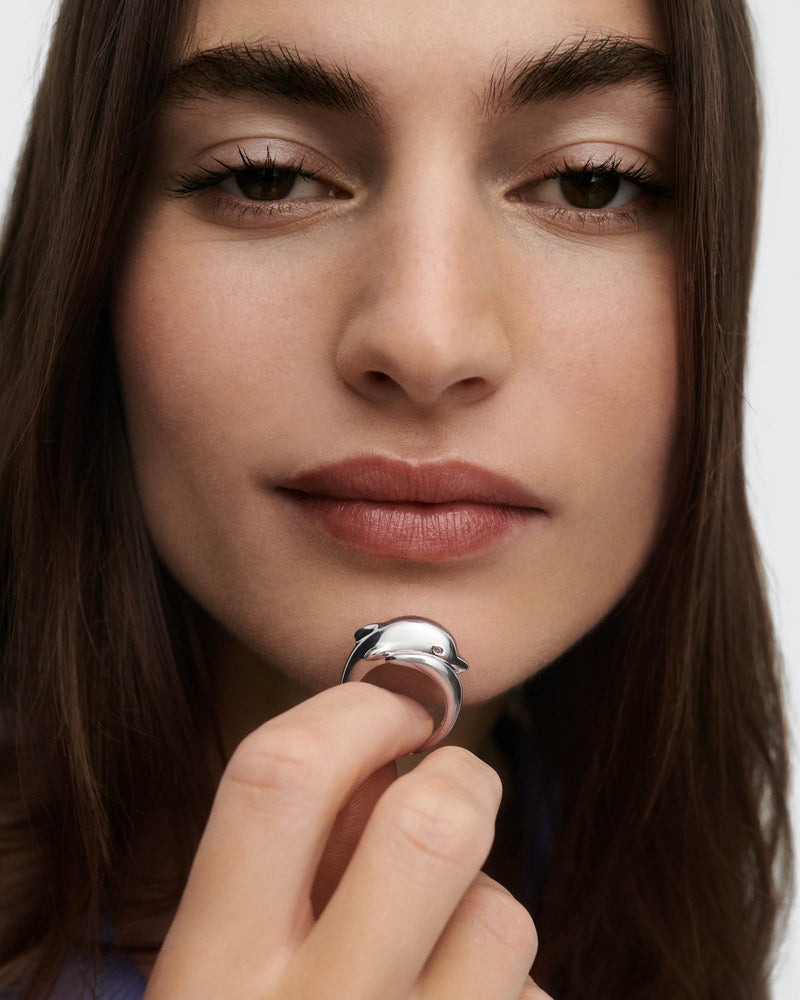 Anillo de plata Dolphin - 
  
    Plata de Ley
  
