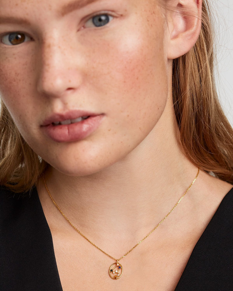 Collier Lion - 
  
    Argent massif / Placage Or 18 Ct
  
