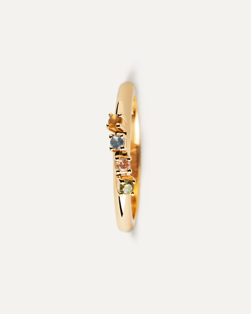 Anillo Rainbow Wing - 
  
    Plata de Ley / Baño de Oro 18K
  

