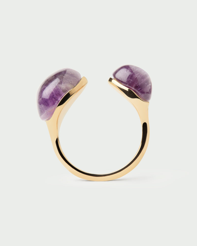 Anillo Amatista Gravity - 
  
    Plata de Ley / Baño de Oro 18K
  
