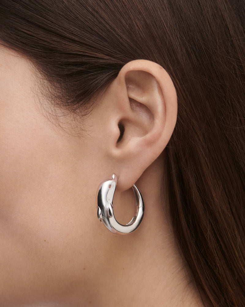 Aros de plata Dolphin - 
  
    Plata de Ley
  
