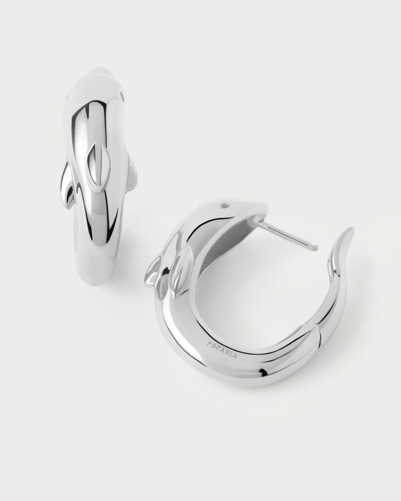 Aros de plata Dolphin - 
  
    Plata de Ley
  
