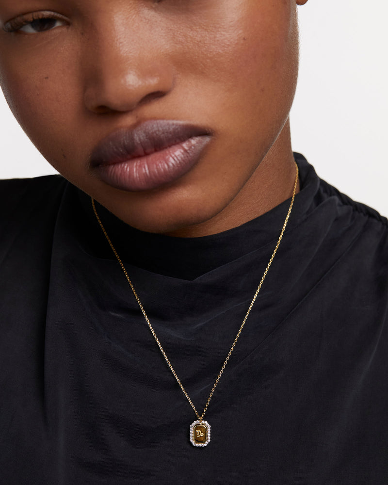 Capricorn Necklace - 
  
    Sterling Silver / 18K Gold plating
  
