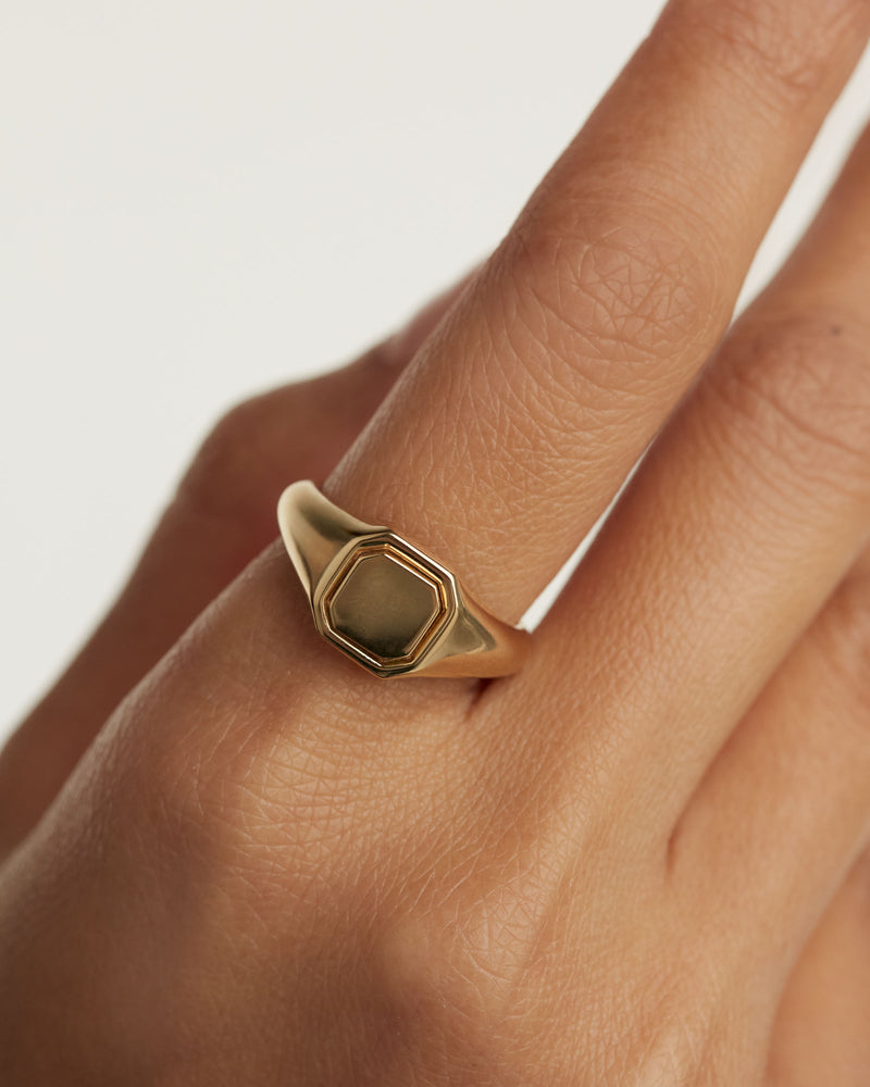Octet Stamp Ring - 
  
    Sterling Silber / 18K Goldplattierung
  
