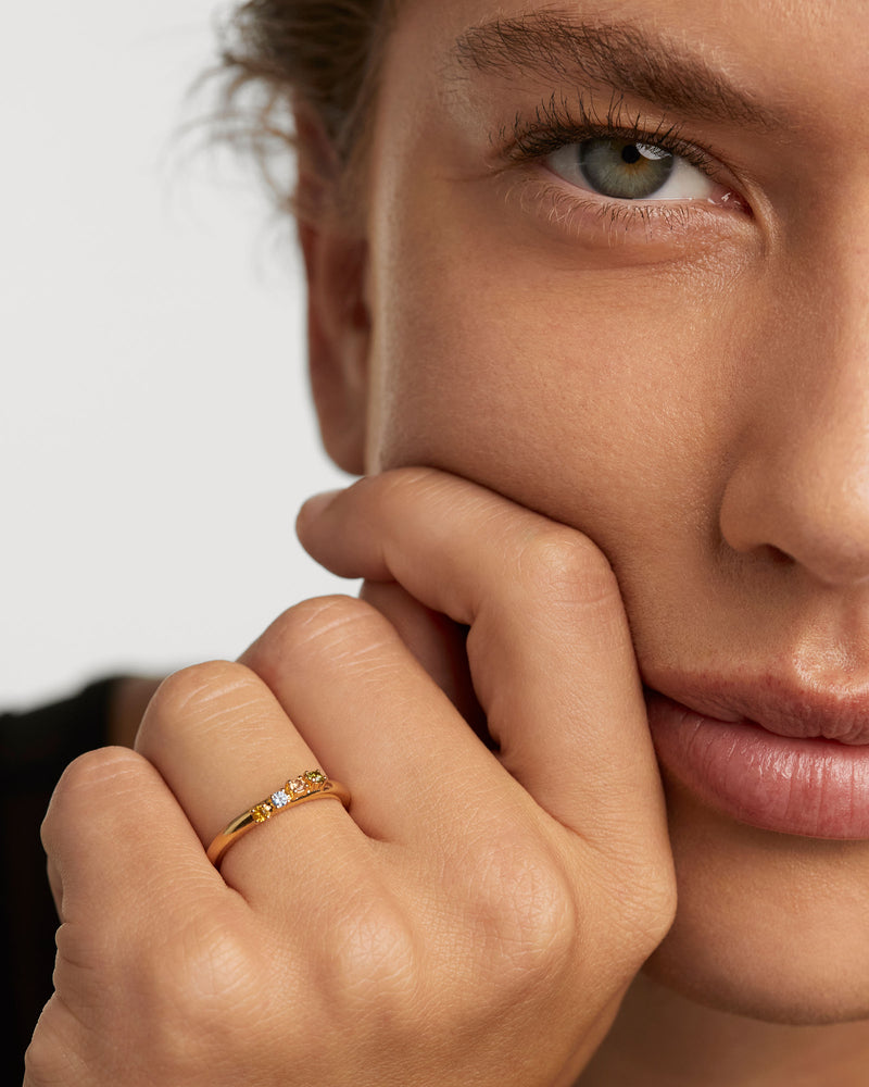 Anillo Rainbow Wing - 
  
    Plata de Ley / Baño de Oro 18K
  
