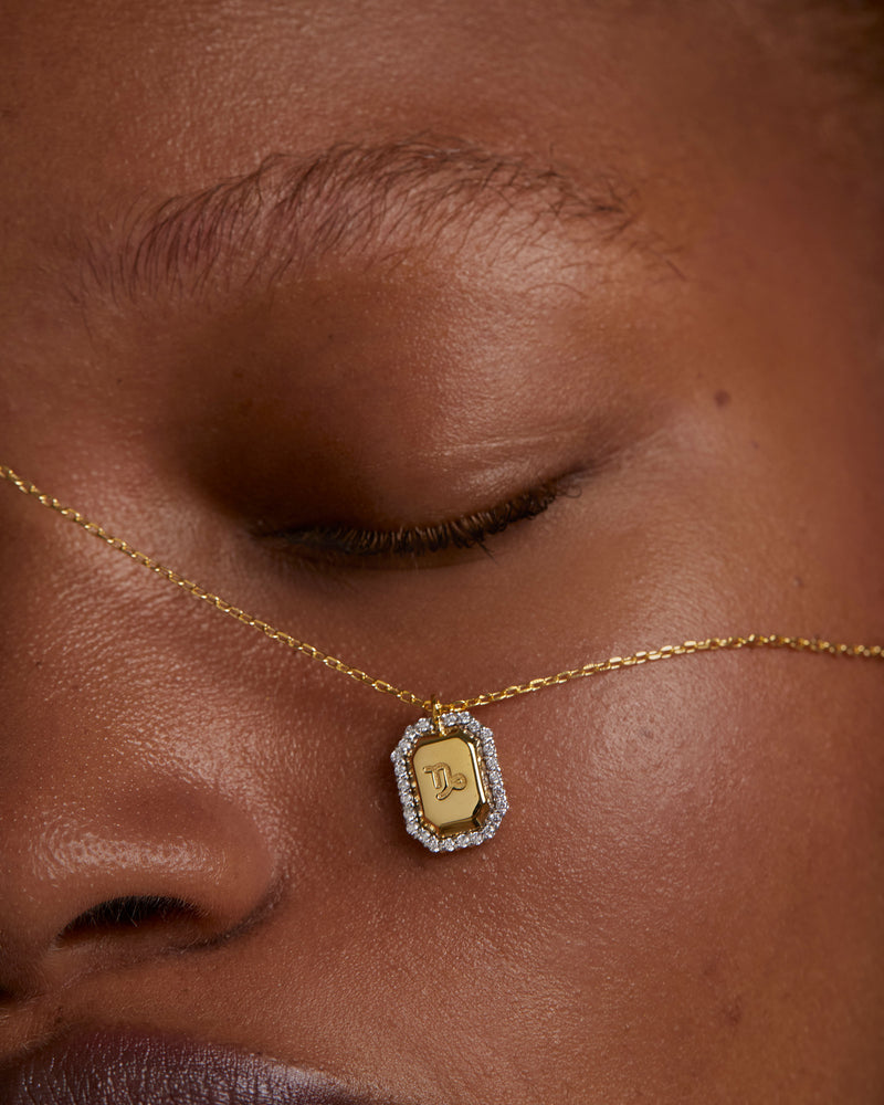 Capricorn Necklace - 
  
    Sterling Silver / 18K Gold plating
  
