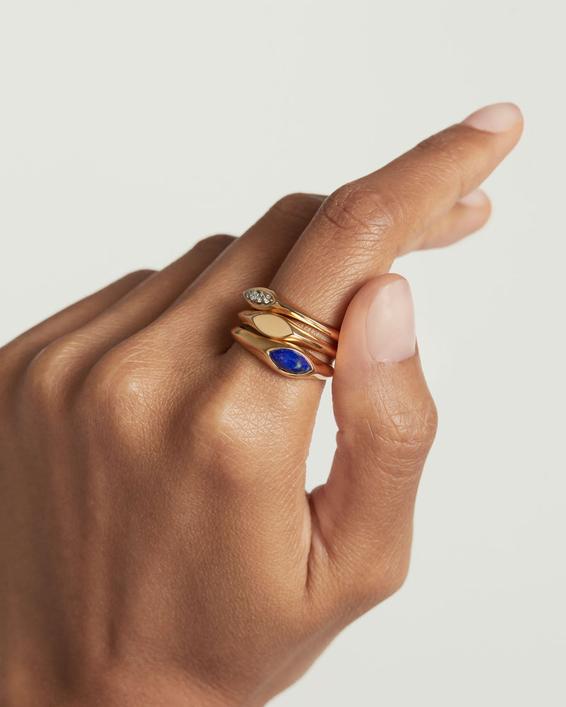 Anello Sigillo Duke - 
  
    Argento sterling / Placcatura in Oro 18K
  
