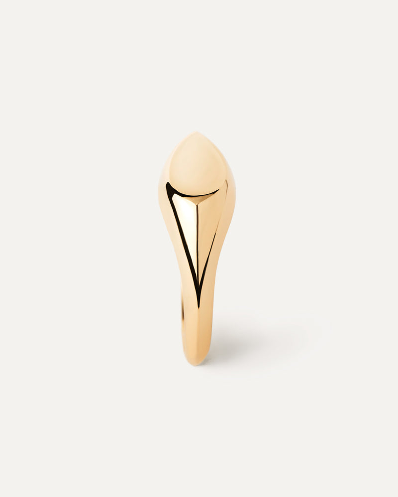 Anello Sigillo Devi - 
  
    Argento sterling / Placcatura in Oro 18K
  
