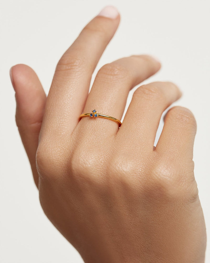 Daisy Ring - 
  
    Sterling Silber / 18K Goldplattierung
  
