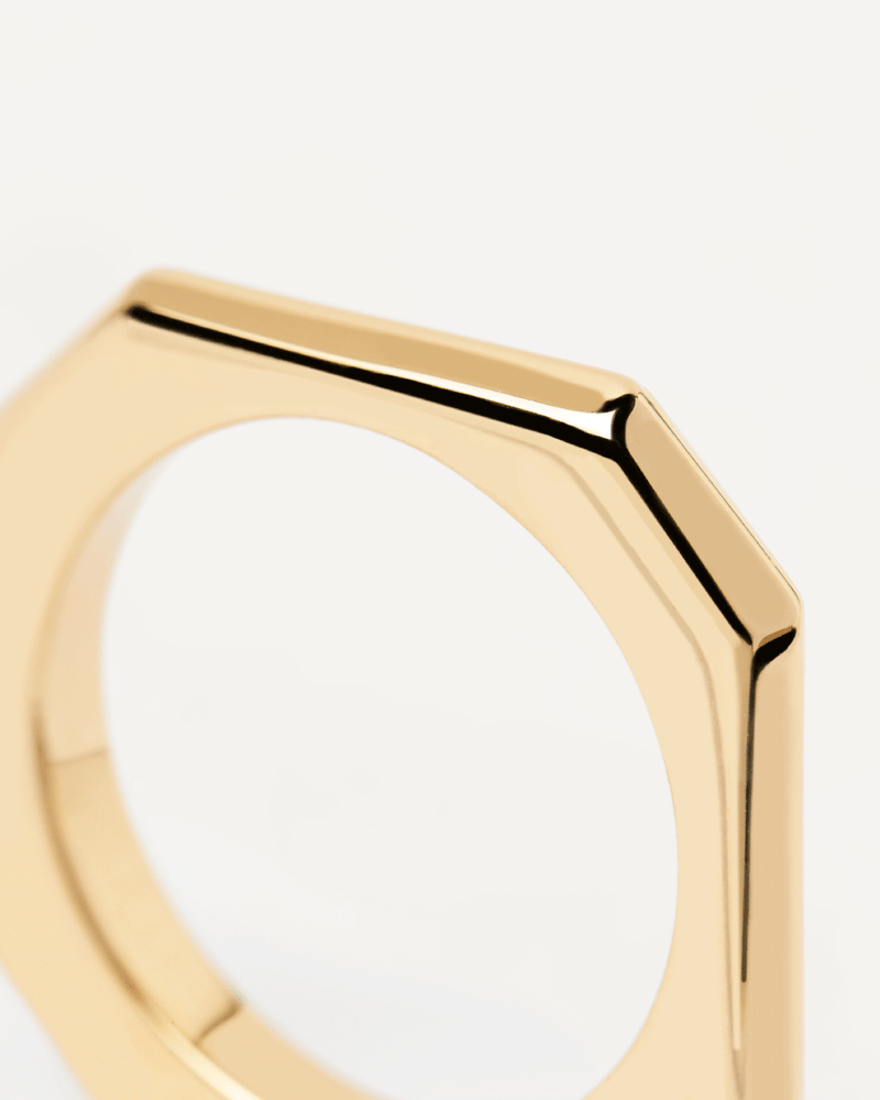 Signature Link Ring - 
  
    Brass / 18K Gold plating
  
