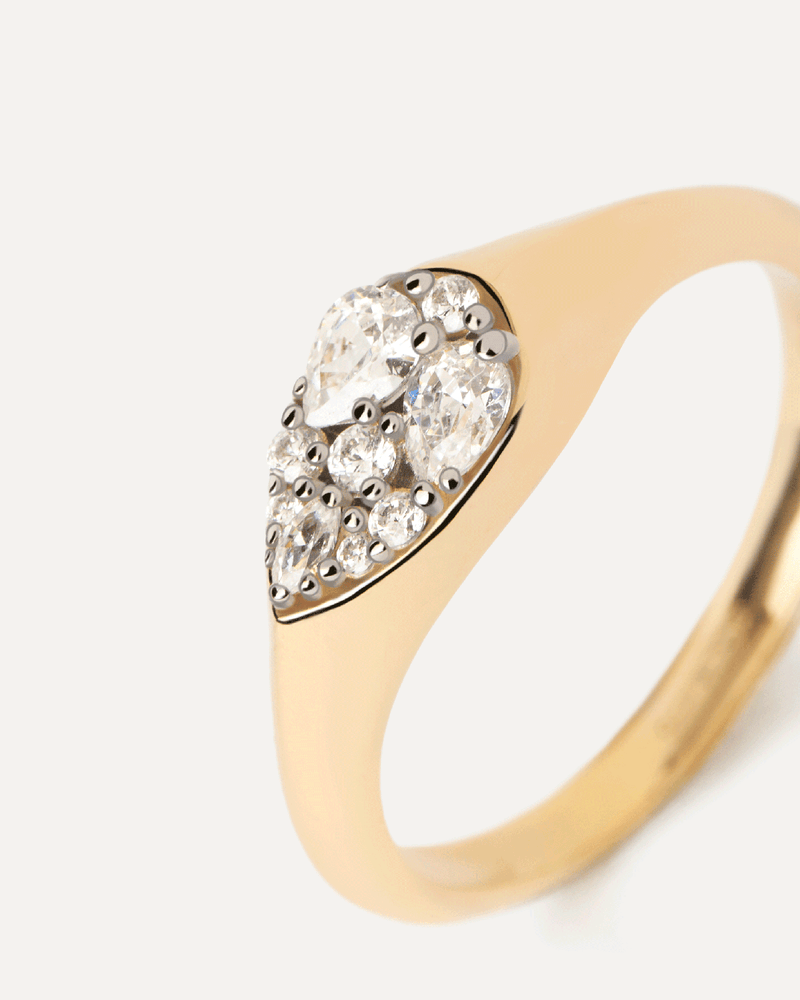 Anello Sigillo Vanilla - 
  
    Argento sterling / Placcatura in Oro 18K
  
