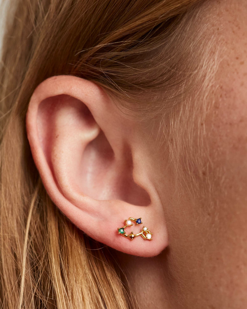 Boucles d’oreilles Poisson - 
  
    Argent massif / Placage Or 18 Ct
  
