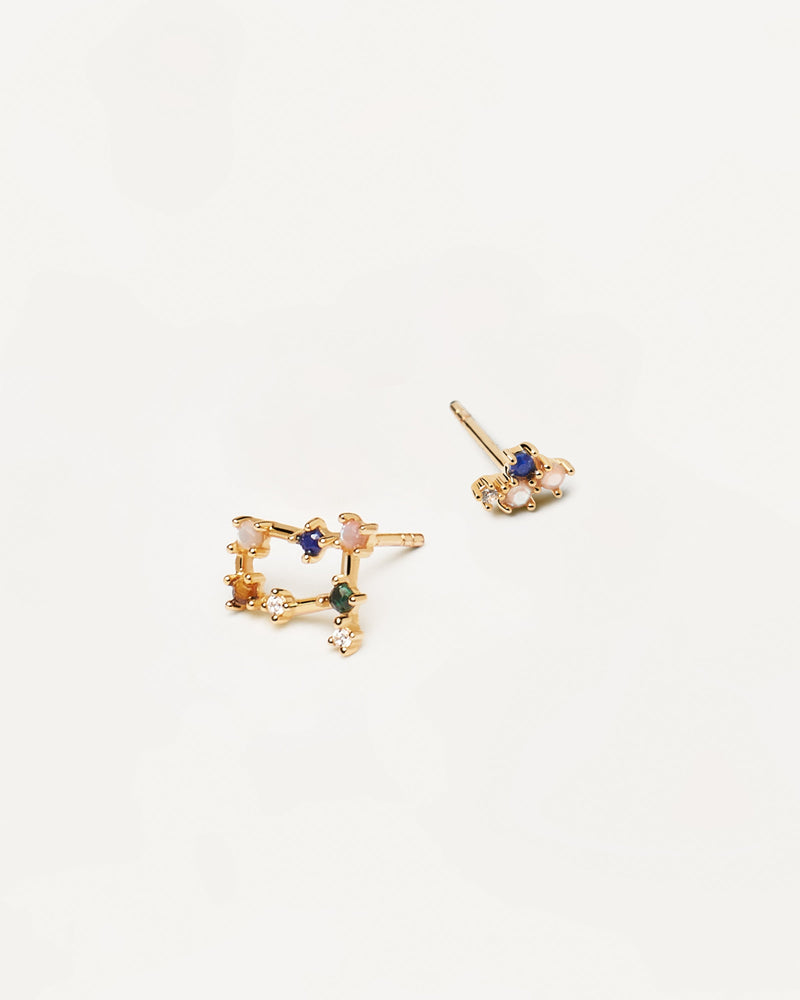 Gemini Earrings - 
  
    Sterling Silver / 18K Gold plating
  
