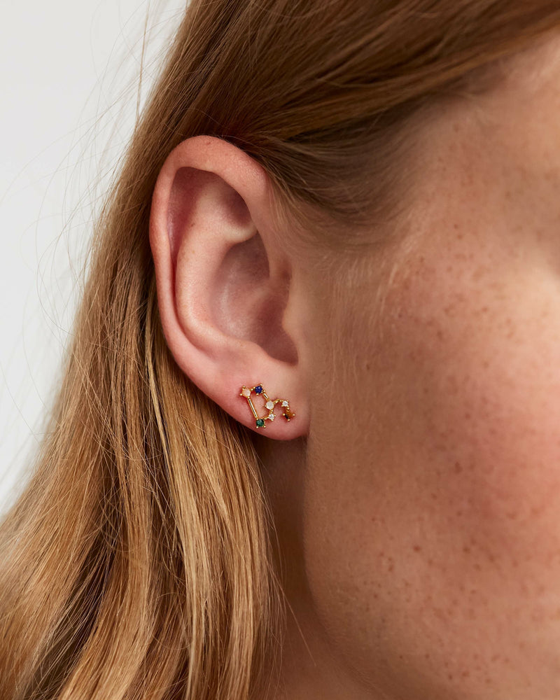 Boucles d’oreilles Lion - 
  
    Argent massif / Placage Or 18 Ct
  
