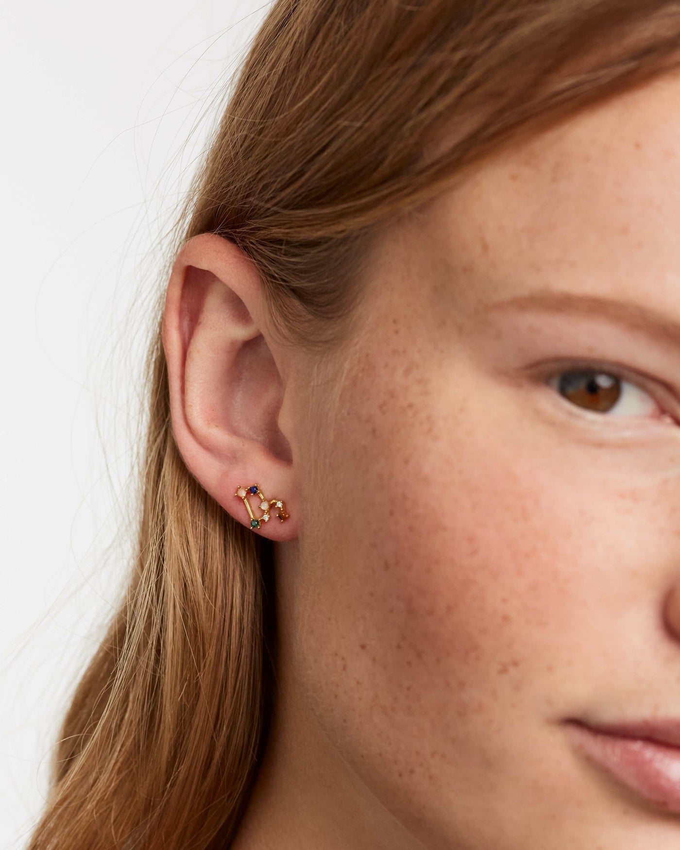 Leo Earrings - 
  
    Sterling Silver / 18K Gold plating
  
