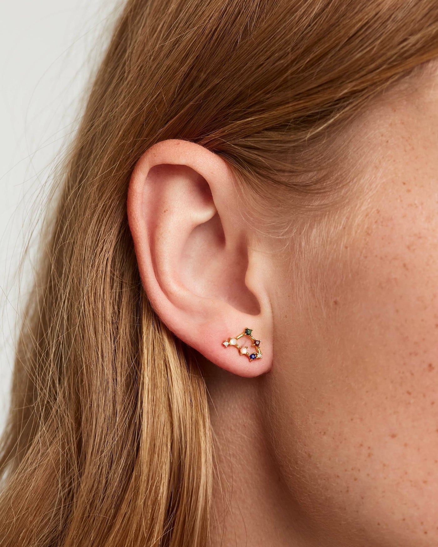 Orecchini Capricorno - 
  
    Argento sterling / Placcatura in Oro 18K
  
