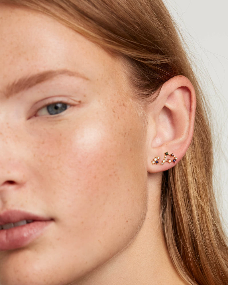 Capricorn Earrings - 
  
    Sterling Silver / 18K Gold plating
  
