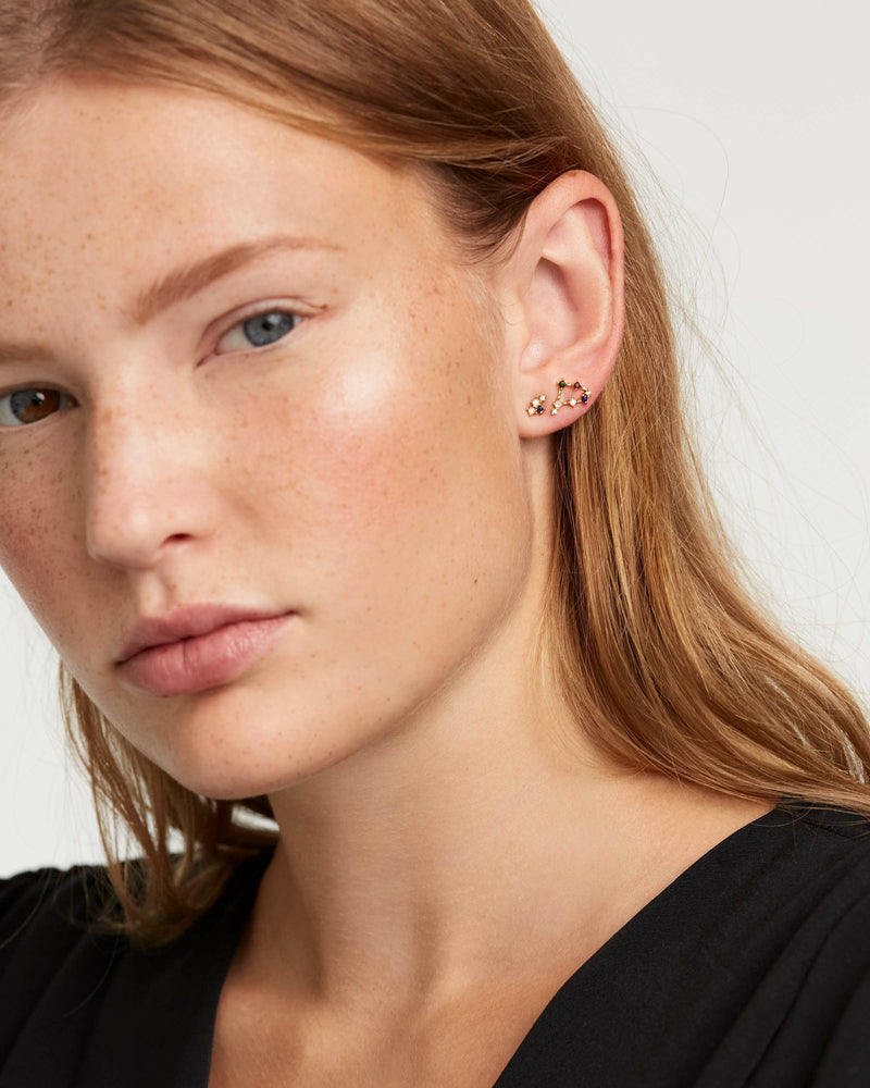 Capricorn Earrings - 
  
    Sterling Silver / 18K Gold plating
  
