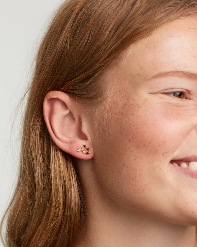 Capricorn Earrings - 
  
    Sterling Silver / 18K Gold plating
  
