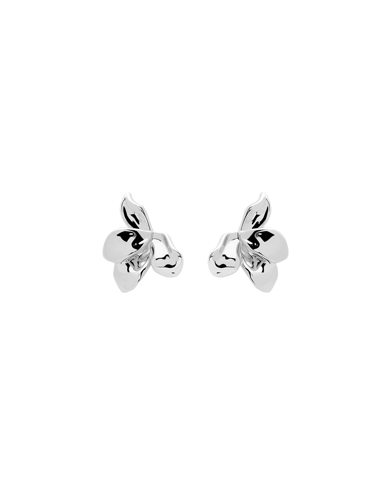Boucles d’oreilles Narcise en argent - 
  
    Argent massif
  
