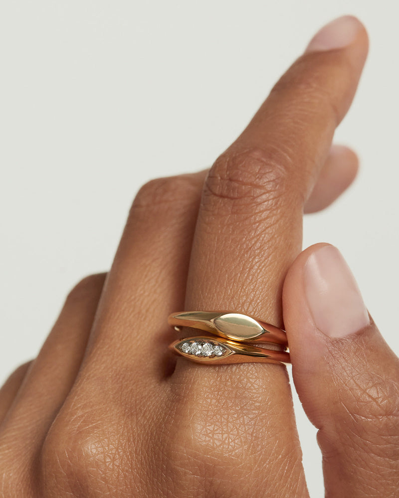 Duke Siegelring - 
  
    Sterling Silber / 18K Goldplattierung
  
