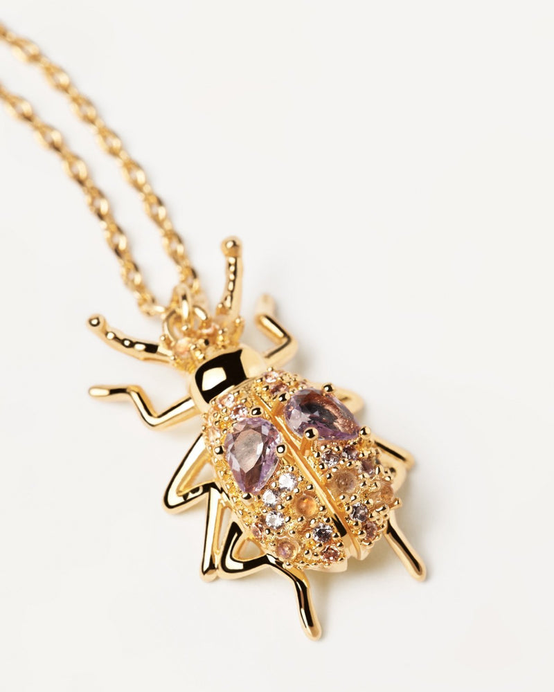 Wisdom Beetle Amulet Necklace - 
  
    Sterling Silver / 18K Gold plating
  
