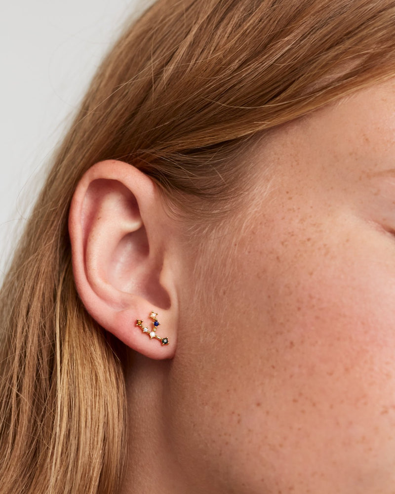 Taurus earrings silver online