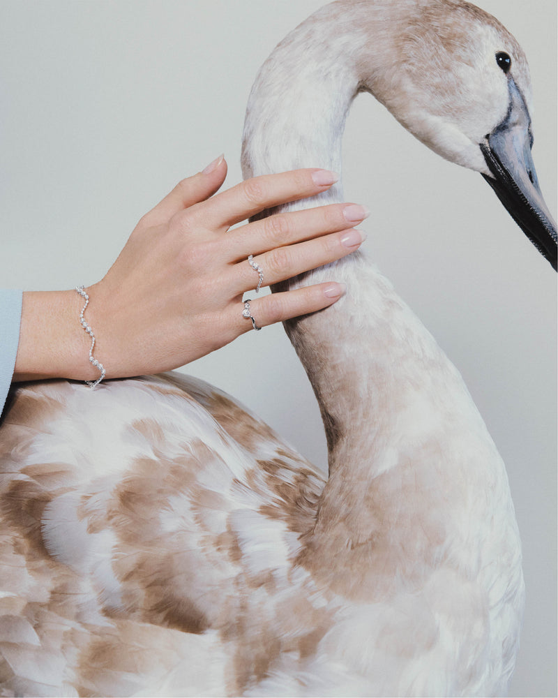 Dafne ring aus Weißgold mit diamanten - 
  
    18 kt Weissgold / Silber-Rhodinierung
  
