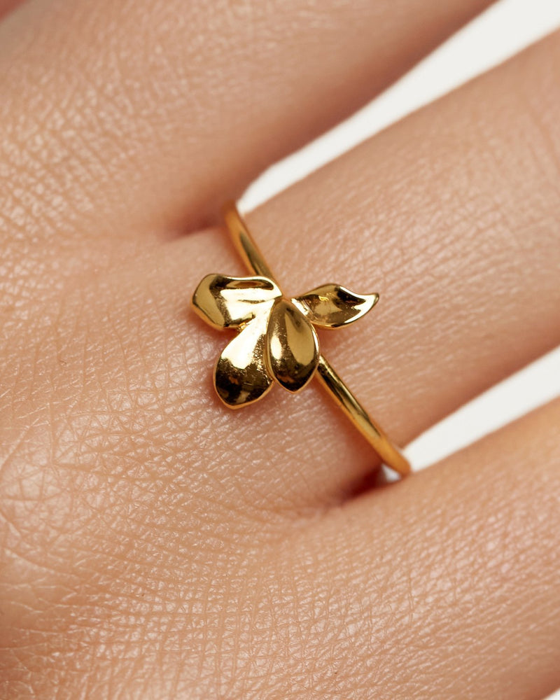 GRID NARCISE GOLD RING - 
  
